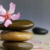 Achieve a Balanced Lifestyle with Holistic Wellness Tips