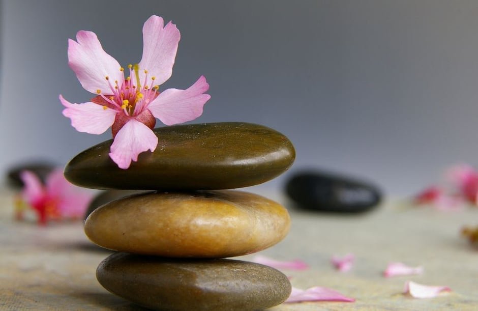 Achieve a Balanced Lifestyle with Holistic Wellness Tips