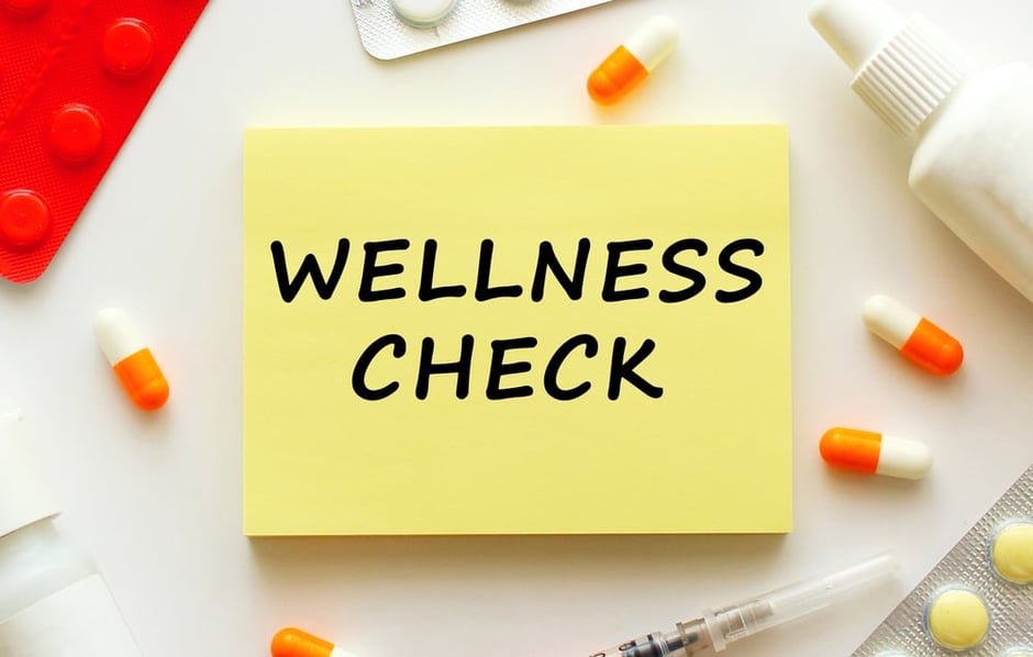 Wellness Checks & iHealth ( Telehealth Primary Care )